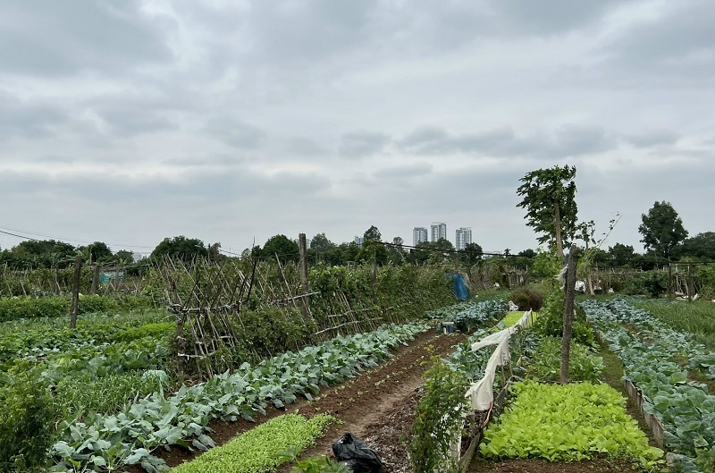 Red River Delta A Day On Two Wheels