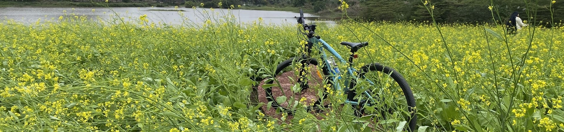 Image of Red River Delta A Day On Two Wheels