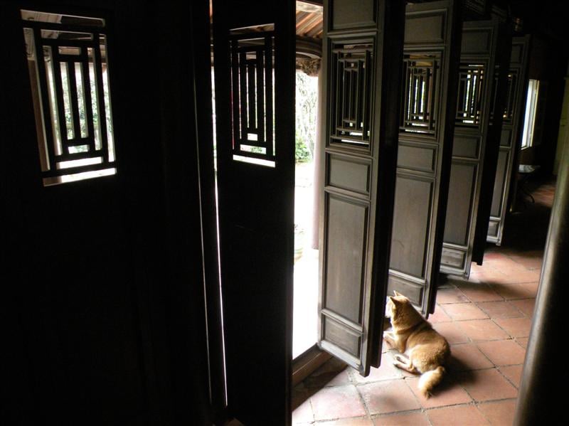 Royal Cooking Class at a Garden House