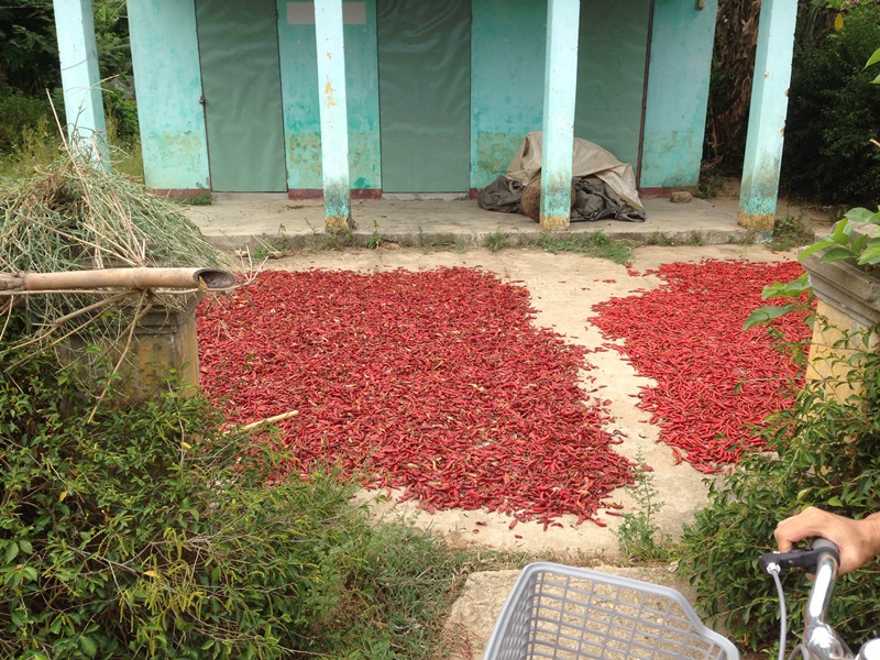 The Chilli Village Explorer by Bicycle