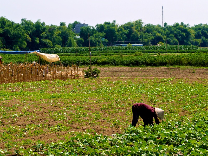 The Chilli Village Explorer by Bicycle