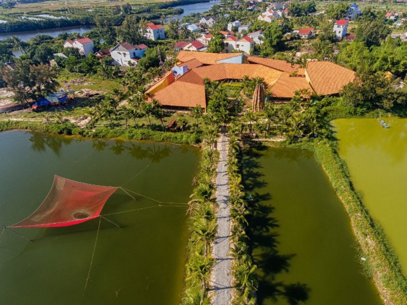 The Essence of Flavor: Cooking with Herbs