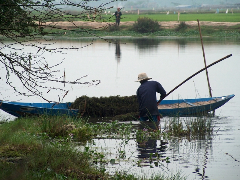 Tra Que Vegetable Village Hoi An