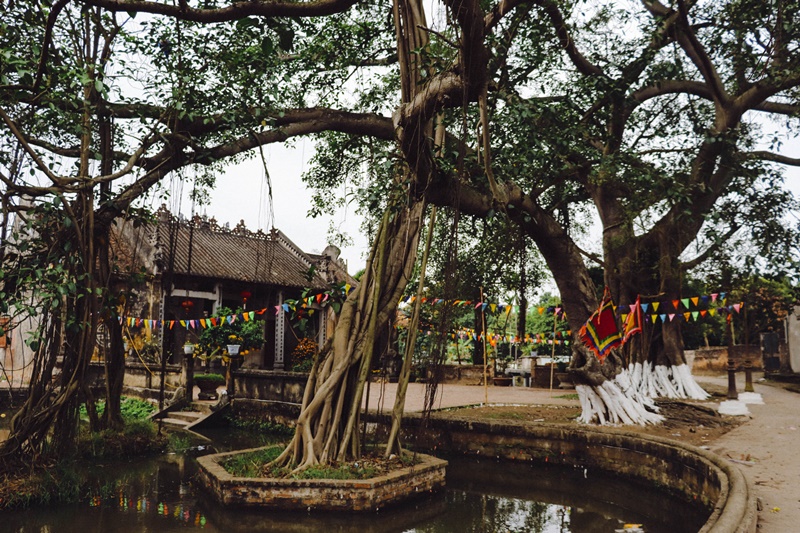 Traditional Craft & Ancient Beauty