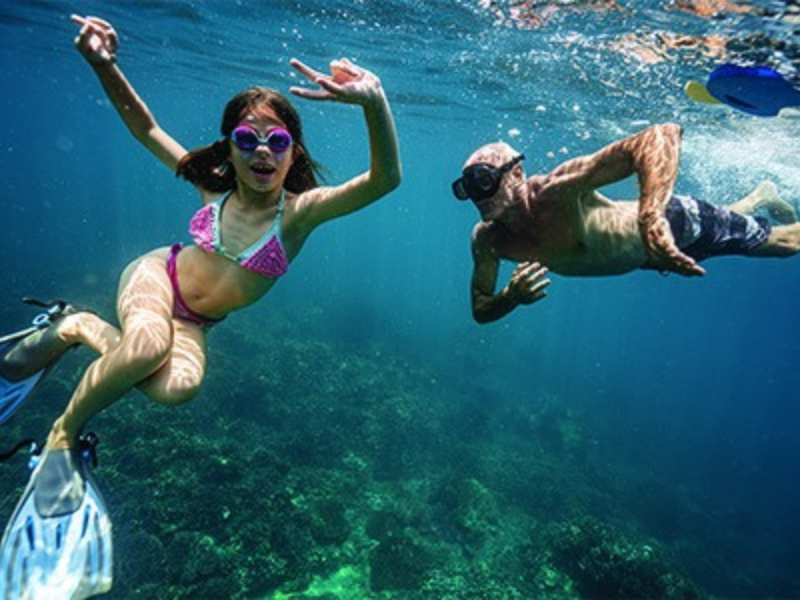 Tropical Cham Island by Private Speedboat