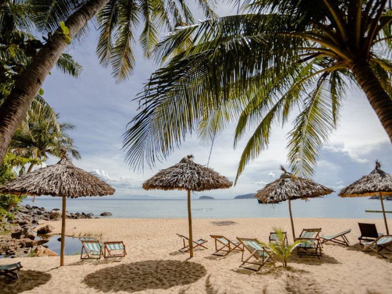 Tropical Cham Island by Private Speedboat