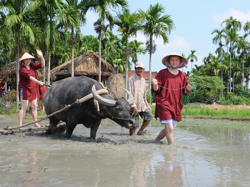 Wet Rice Cultivation Tour (Join-In)