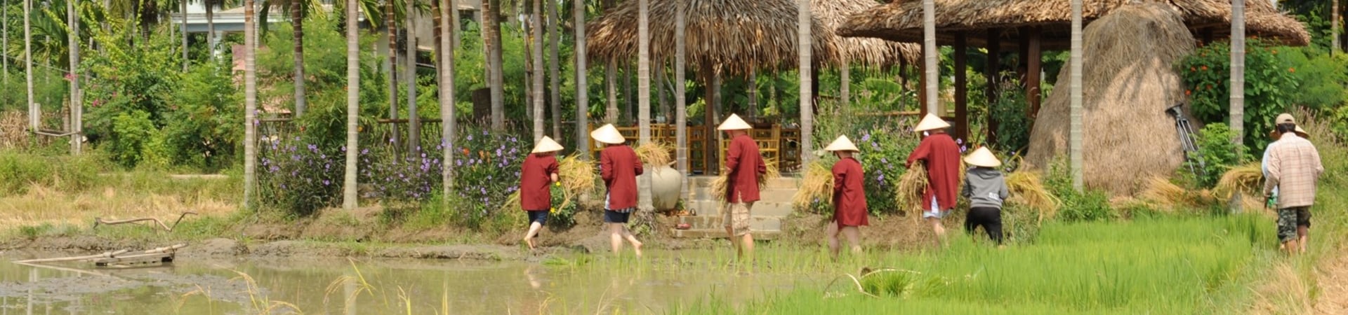 Image of Wet Rice Cultivation Tour (Join-In)