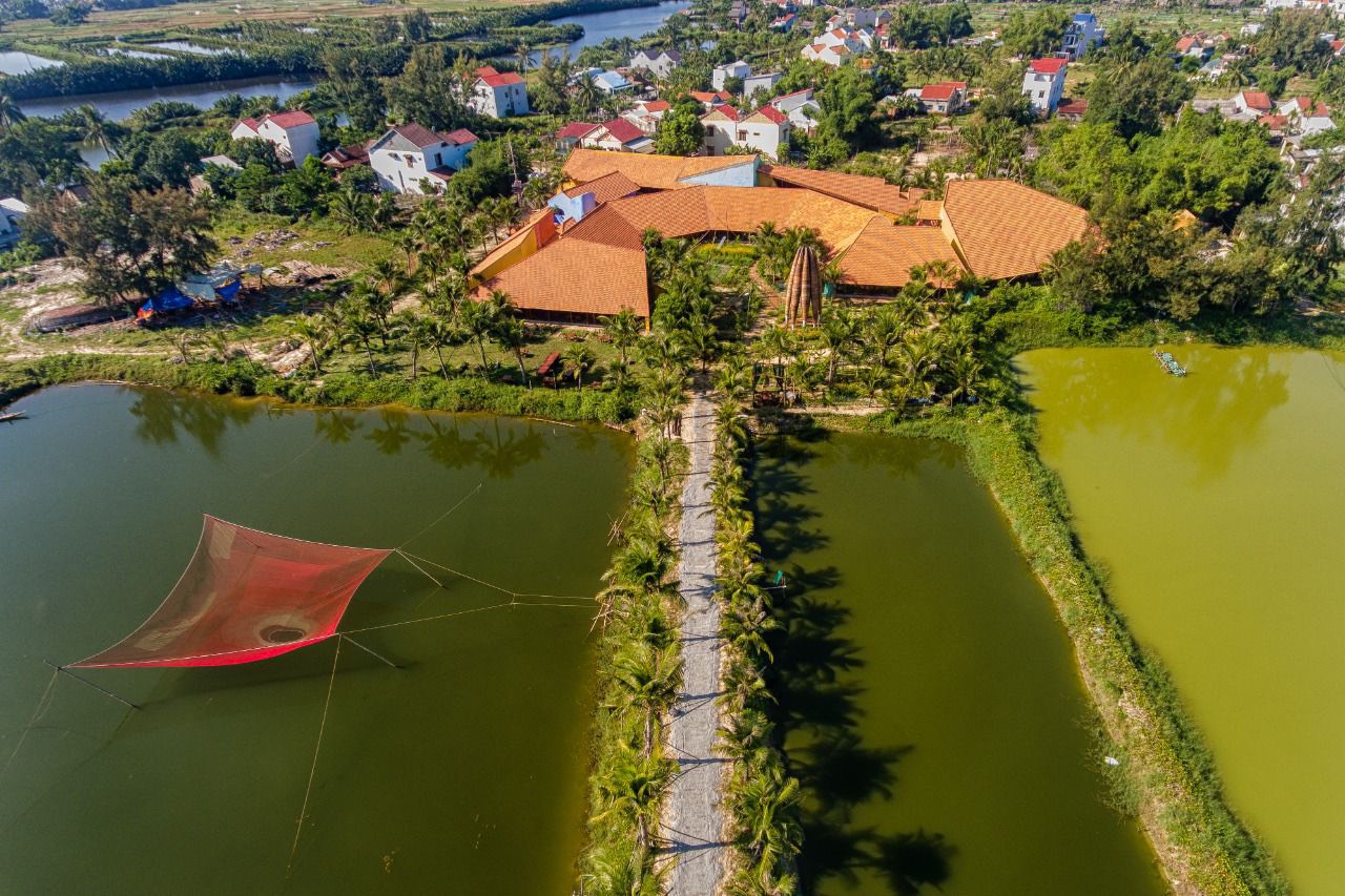 The Essence of Flavor: Cooking with Herbs