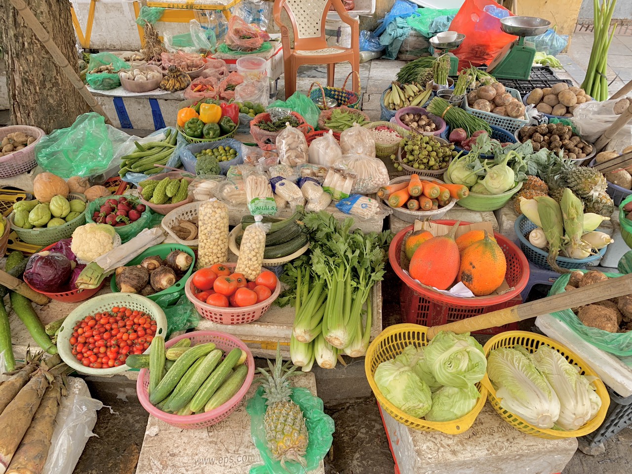 Explore Hanoi’s Vegetarian Street Eats