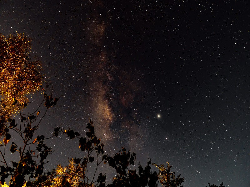 Canvas & Orchids Retreat