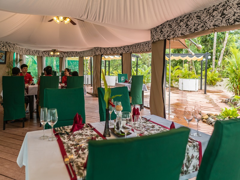 Canvas & Orchids Retreat