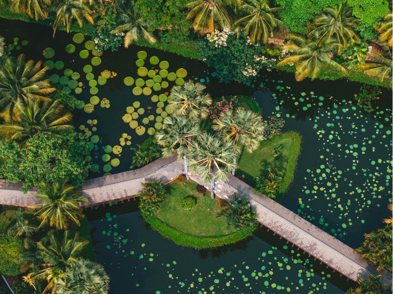 Sofitel Angkor Phokeethra Golf & Spa Resort