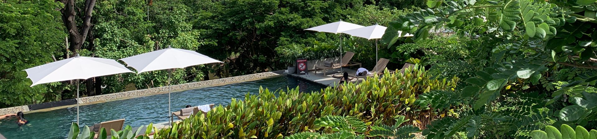 Image of Treeline Urban Resort