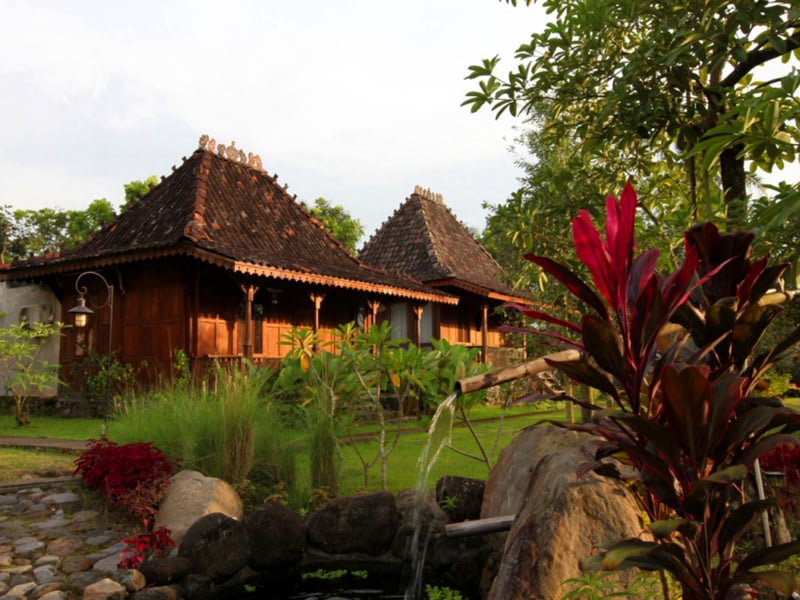 Amata Borobudur