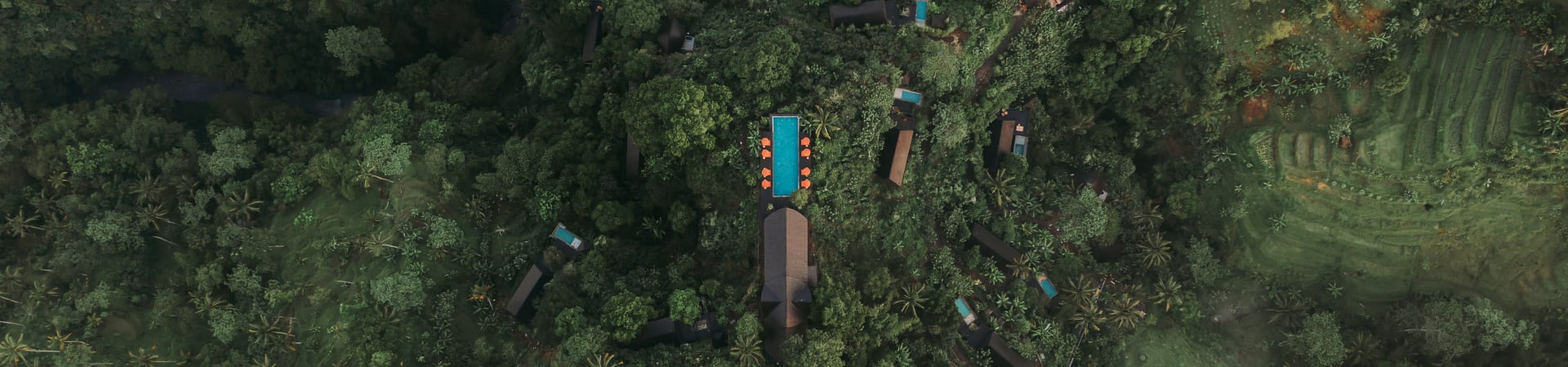 Buahan, a Banyan Tree Escape