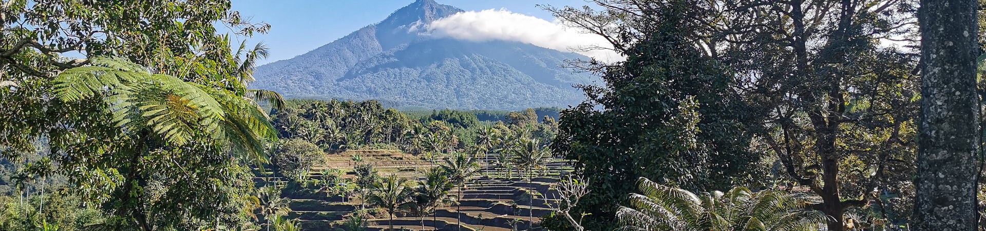Image of Ijen Resort and Villas