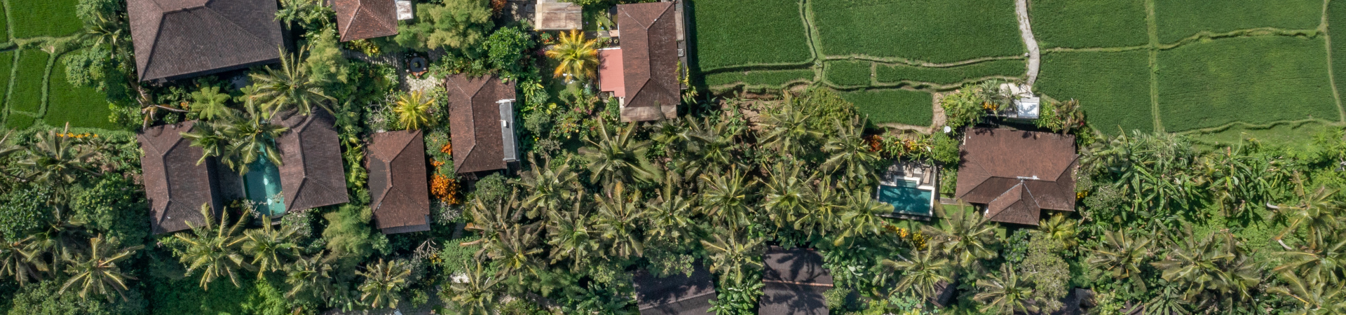 Korurua Dijiwa Ubud