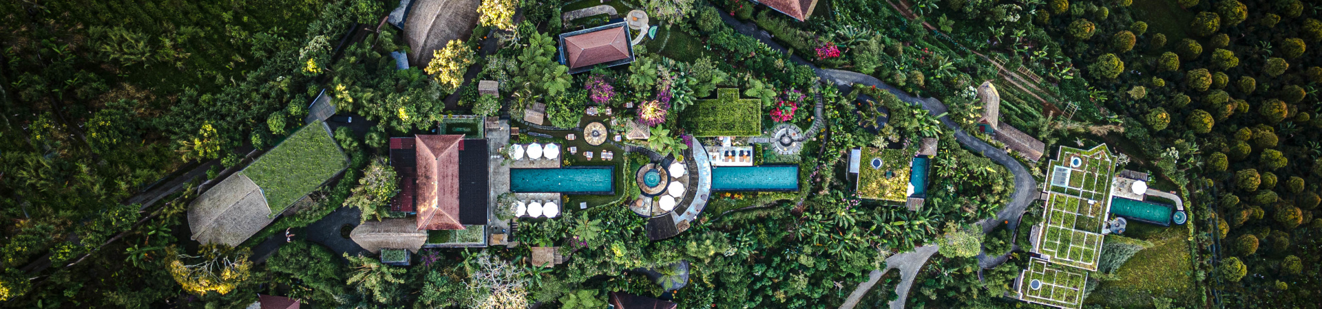 Image of Munduk Moding Plantation