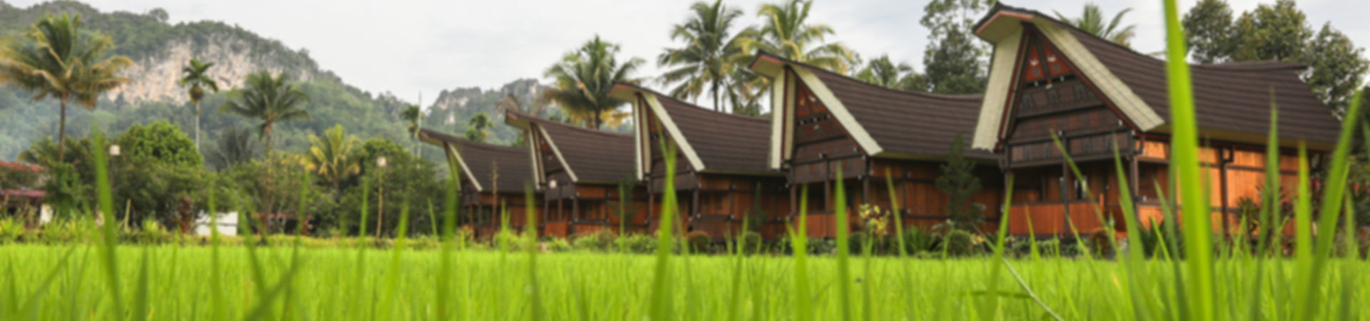 Image of Toraja Misiliana Hotel