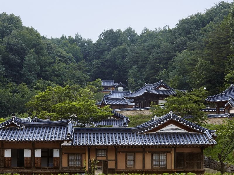 Gurume Resort, Andong