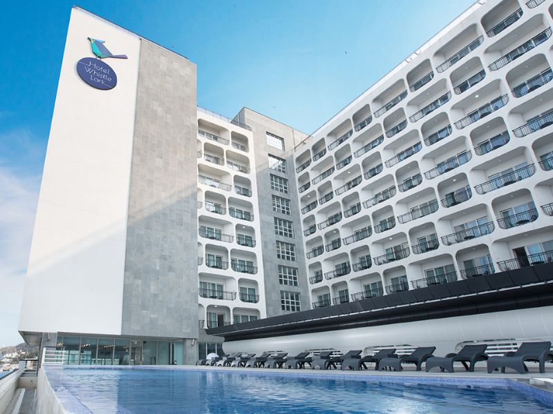 Hotel Whistle Lark,BW Signature Collection Jeju