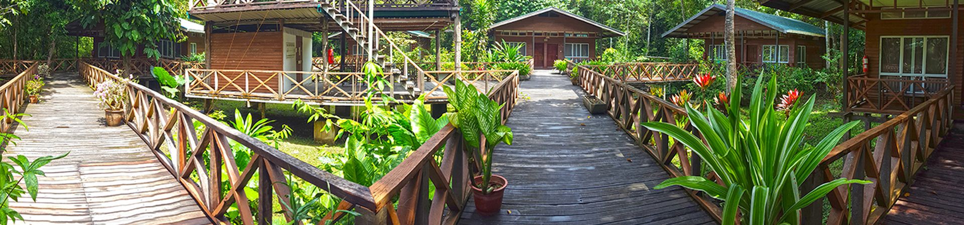 Image of Borneo Nature Lodge