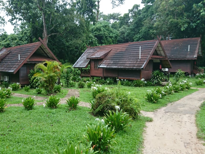 Mutiara Taman Negara Resort - hotel in Jerantut, Malaysia - EXO Travel