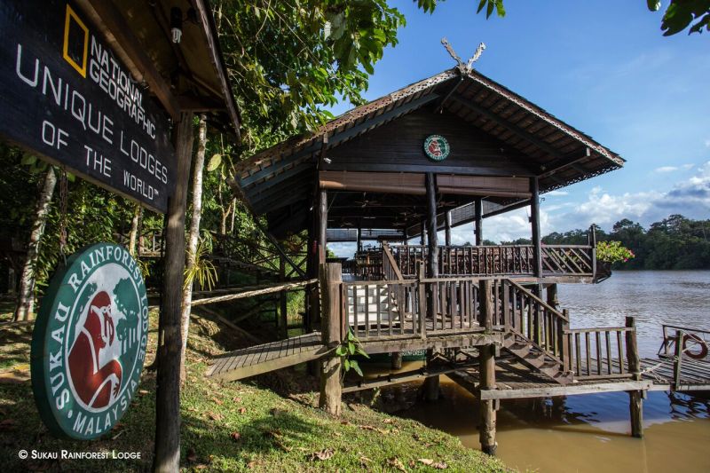 Sukau Rainforest Lodge
