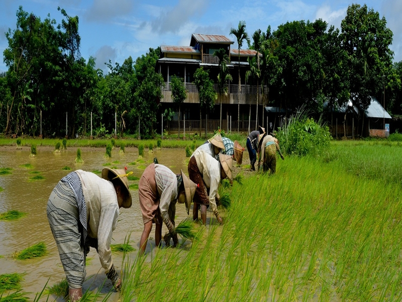 Myanmar Beauty Hotel No. 2 - Taungoo