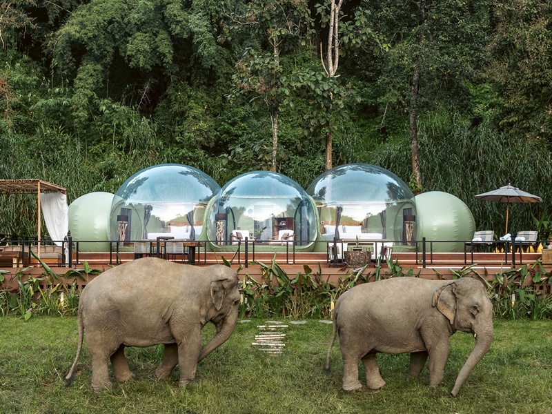 Anantara Golden Triangle Elephant Camp & Resort