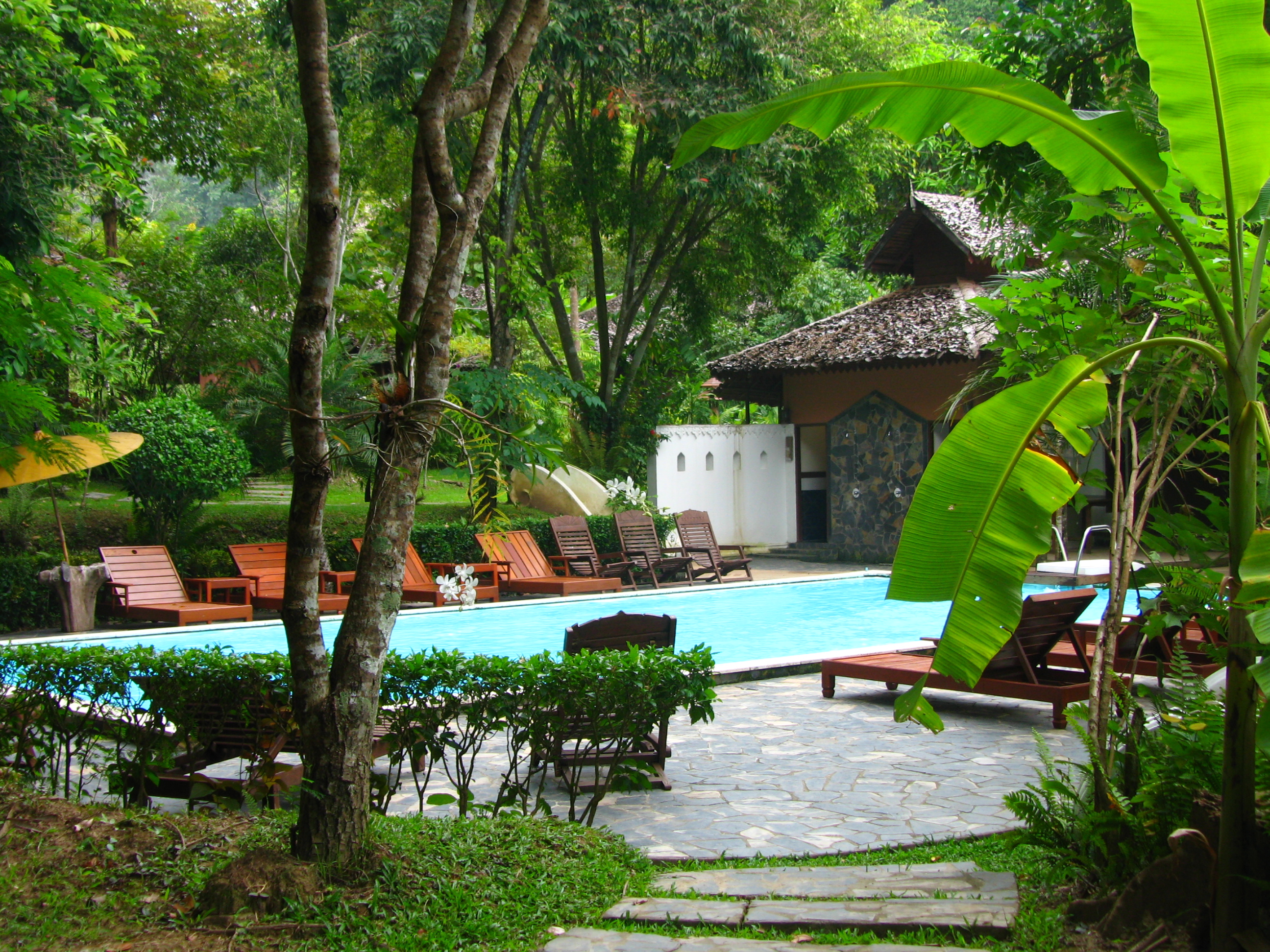 Fern Resort