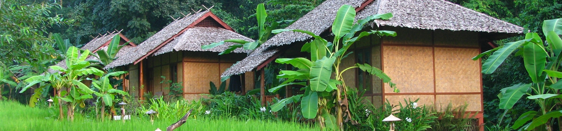 Image of Fern Resort