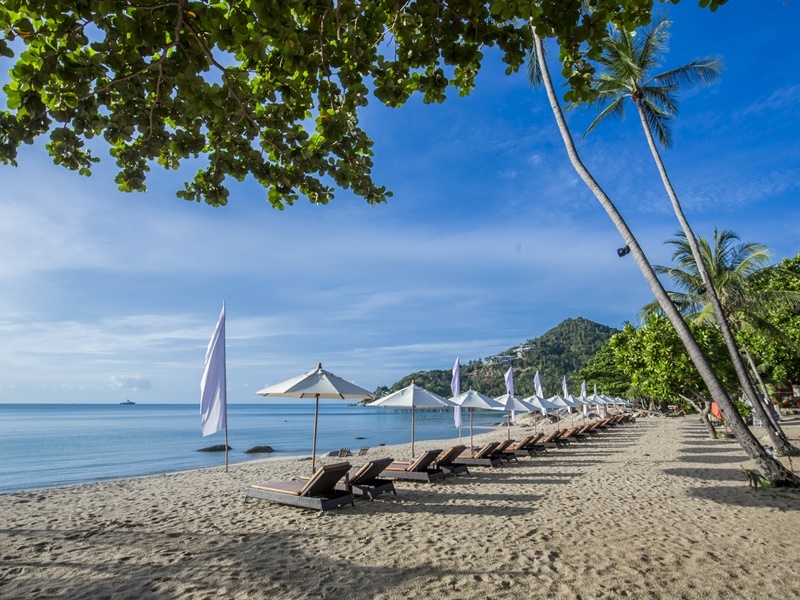 New Star Beach Resort