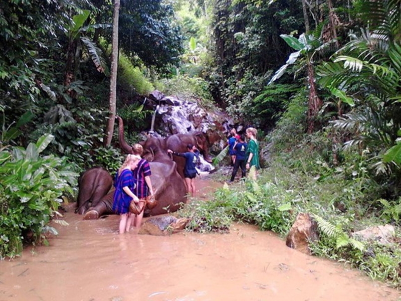 Phu Chaisai Mountain Resort & Spa