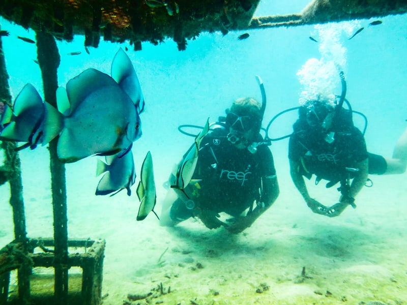 The Beach Club by Haadtien