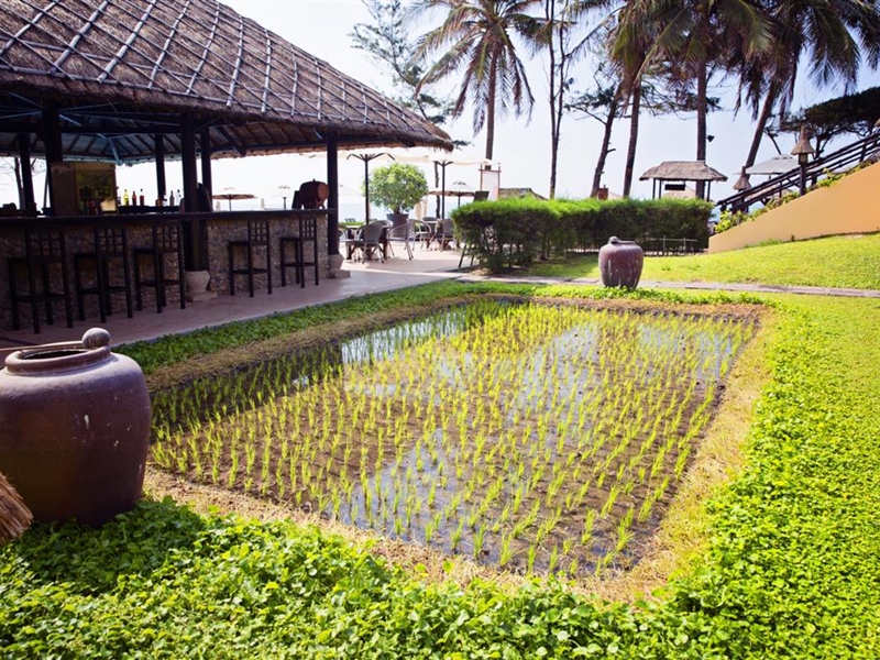 Seahorse Resort & Spa