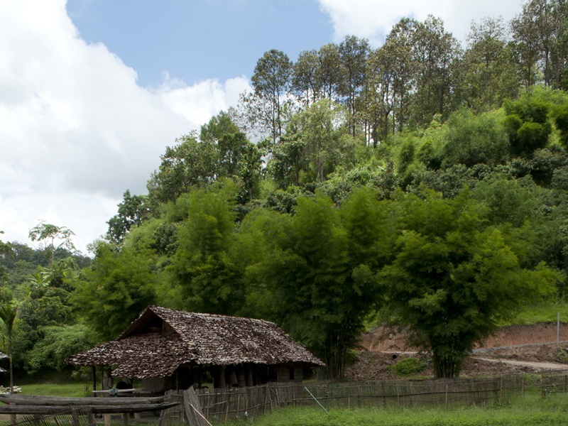 Cycling - Chiang Mai Sweet Escape