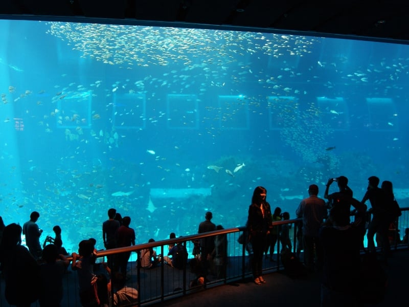 Nature’s Playground: A Sustainable Family Adventure