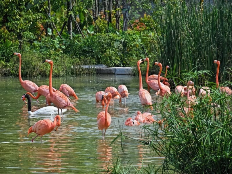 Nature’s Playground: A Sustainable Family Adventure