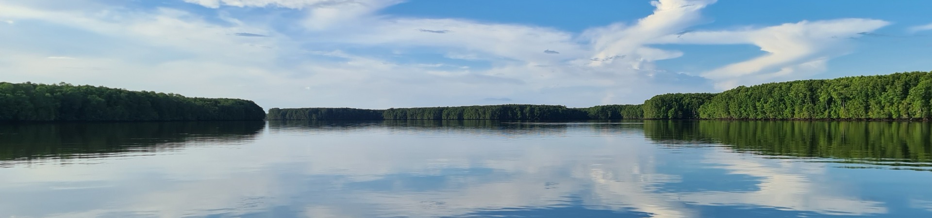 Image of Cruising the Wild Heart of Borneo