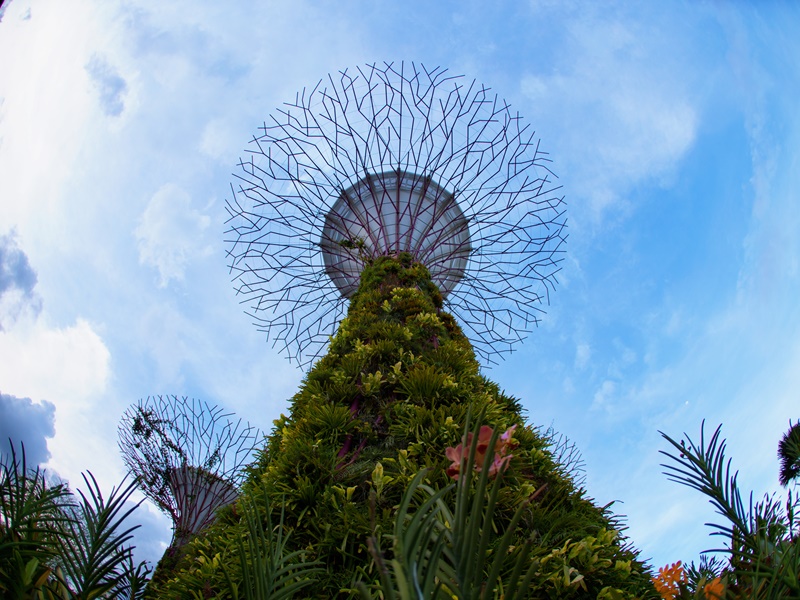 Singapore for Families