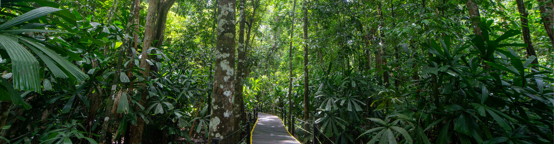 Image of Sabah Wildlife Sanctuaries
