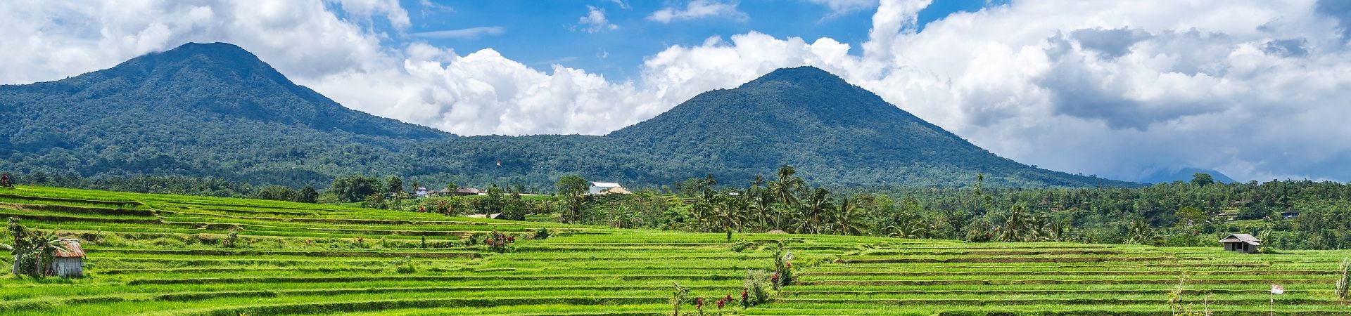 Image of Bali Cycling - Live With Local