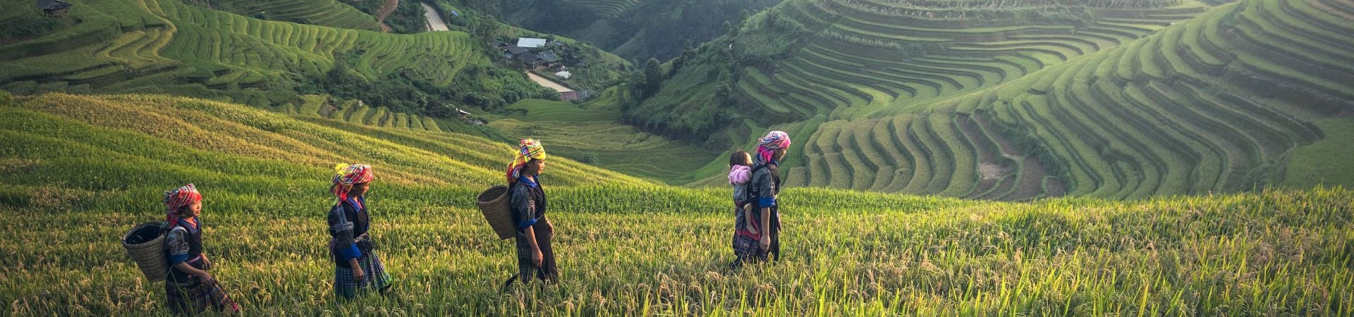 Image of Carbon Friendly Tour of North Vietnam