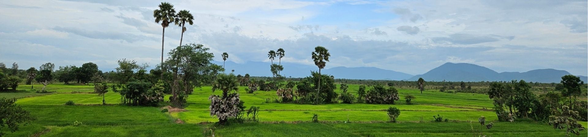 Image of Green Season Angkor