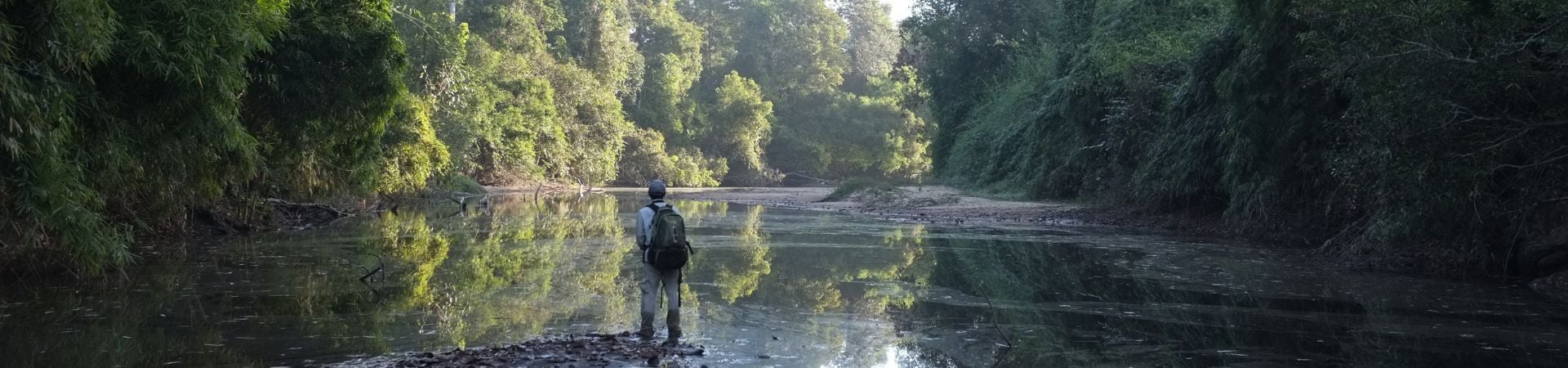 Image of Angkor Temples and Wildlife Sanctuary