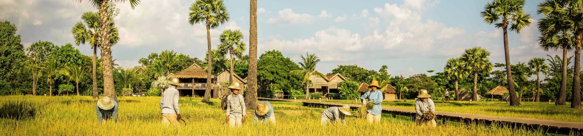 Image of Cambodia Essentials In Style