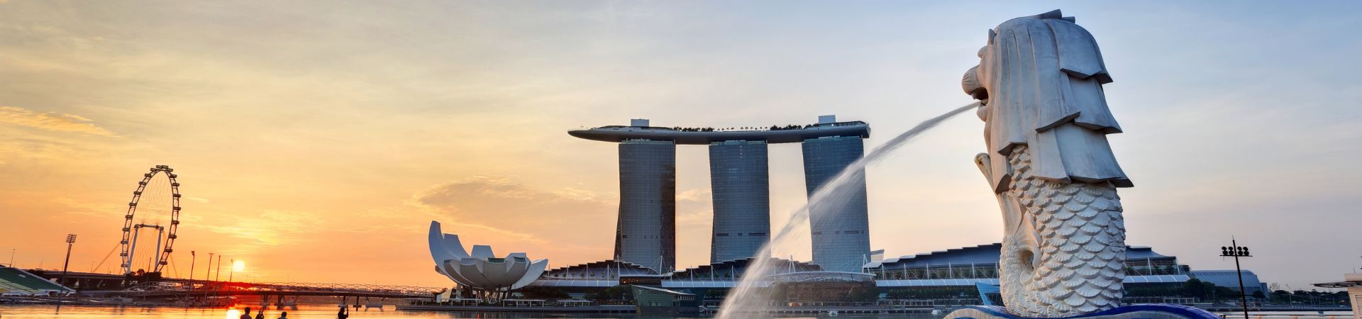 Carbon Friendly Singapore