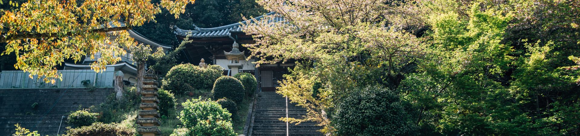 Image of Walking the Holy Path in Shikoku